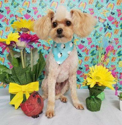 Mr. Dudley rocking his new "manly" haircut. :)