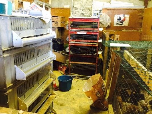 George's Feed & Pet Supply