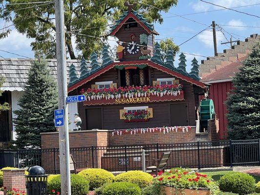 Worlds largest cuckoo clock