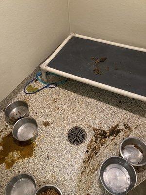 Piper Heritage Veterinary Clinic