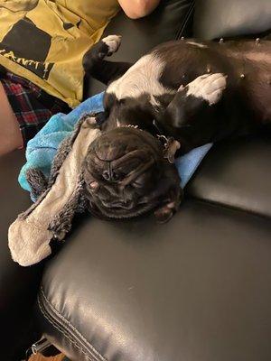 Lori's Mobile Notary & Fingerprinting