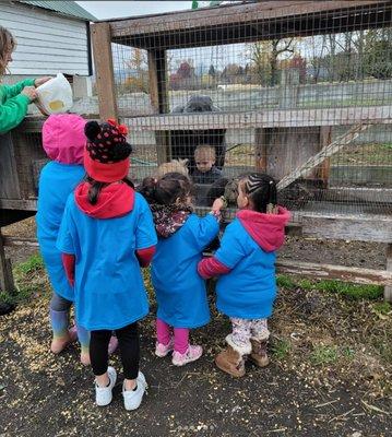 Flanders Valley Country Day School