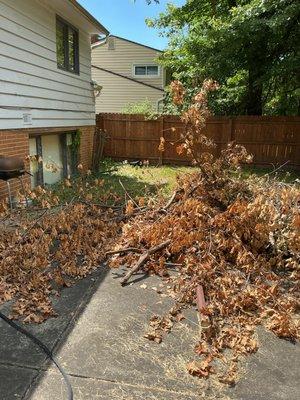 Property Bros In & Out Designs