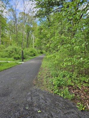 Black Creek Preserve