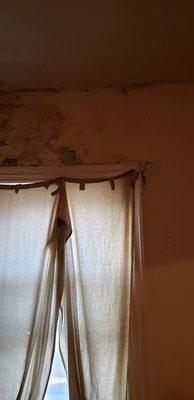 Susanne - AGID Properties