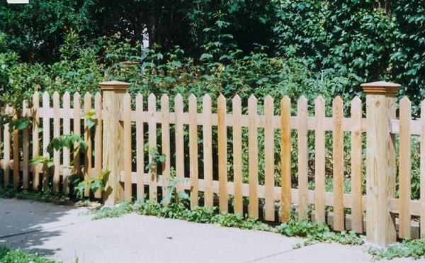 Pointed Picket Fence