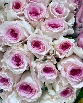 Weddings planning?
Let us provide the flowers for your wedding day. Wholesale prices and trending colors. Roses are $18.99 For 2 dozen!