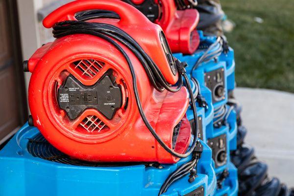 The Bed Bug Experts of Kansas City