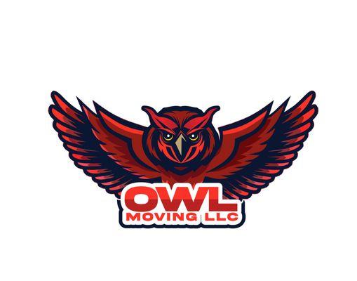 Owl Moving