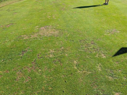 Ole Monterey Golf Club