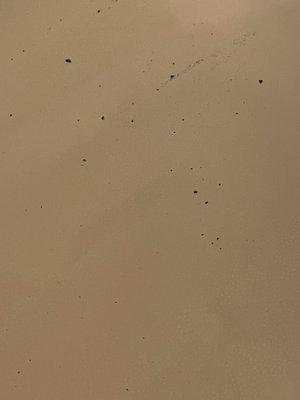 Sanctuary At Winter Lakes