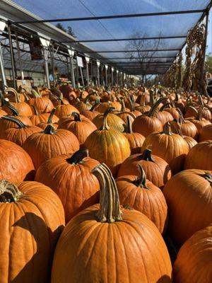 Janoski's Farm and Greenhouse