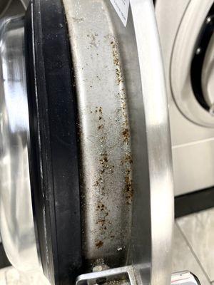 Blue Wave Laundromat