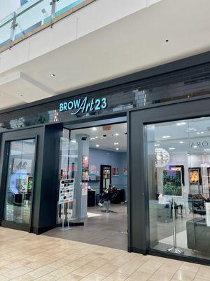 Brow Art 23