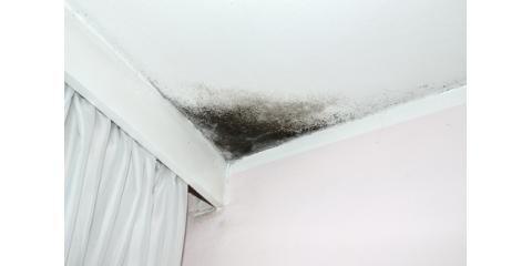 A-1 Mold Testing & Remediation Services