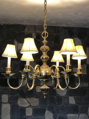 Specialty bulbs replaced with LED bulbs