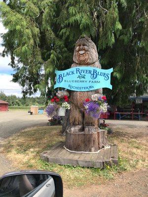Black River Blues Blueberry Farm