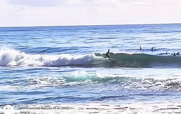 Surfer Catching a Wave | Photo Taken @ 8:12am | Honoli'i Beach Park | East Hawai'i, Big Island of Hawai'i