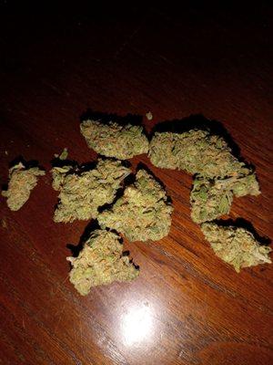 GrowHealthy - Bonita Springs