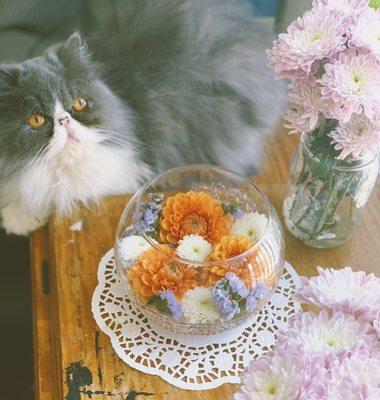 Please send a text or email to order ahead of the time ( at least 3 hours before). Rush orders will cost more.