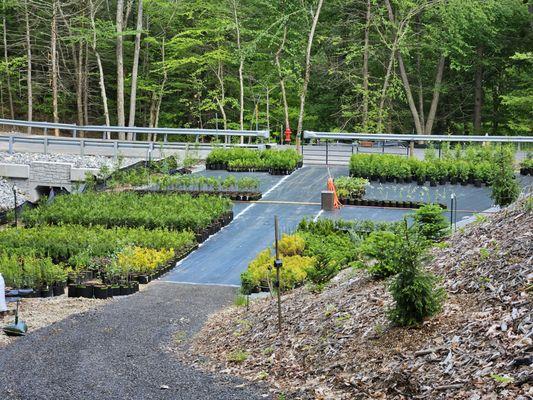A.J.'s Evergreen Nursery