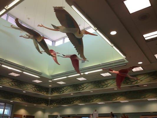 Pasco County Government