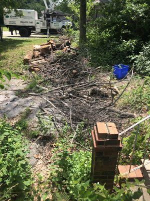 JC Garay Tree & Lawn Service