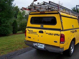 All Creatures Pest Control