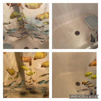 Ribeiro’s Cleaning services