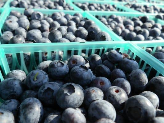 Cape Riverfront Farmers' Market