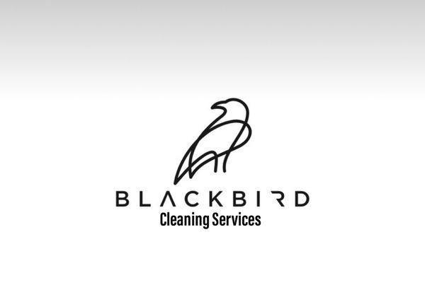 Blackbird cleaning