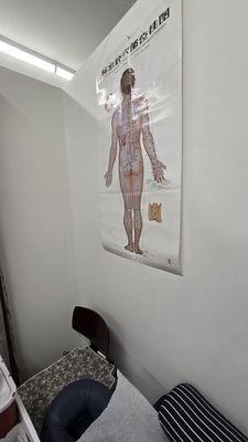 Cool ...posters of anatomy.. I don't miss those classes but it's good to know where pain stems from