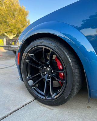 Tony Premium Details