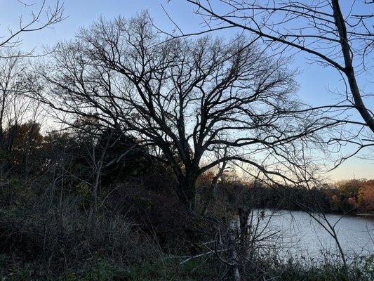 Maryland State Government-Greenwell State Park