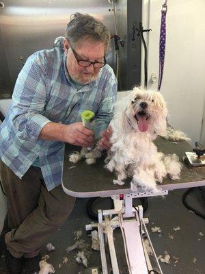 Tally Ho Mobile Pet Groomer