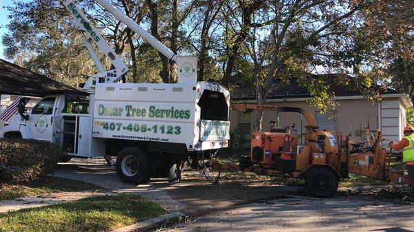 Oscar Tree Services