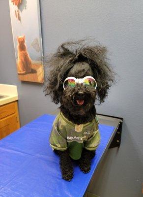 Audubon Veterinary Clinic