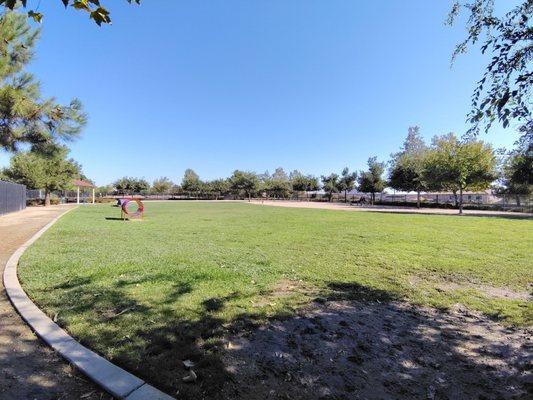 The view from my seat