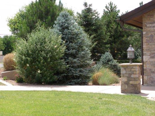 Highrise Environmental & Tree Services