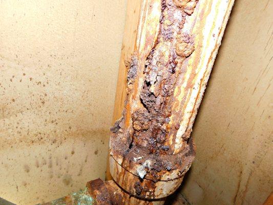 Proven Home Inspection Service