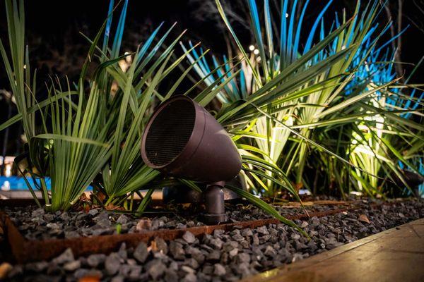 Dallas Landscape Lighting