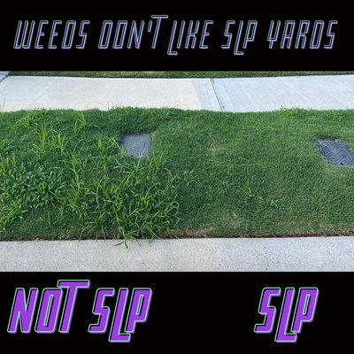 Neighborly weeds? We got you covered.
