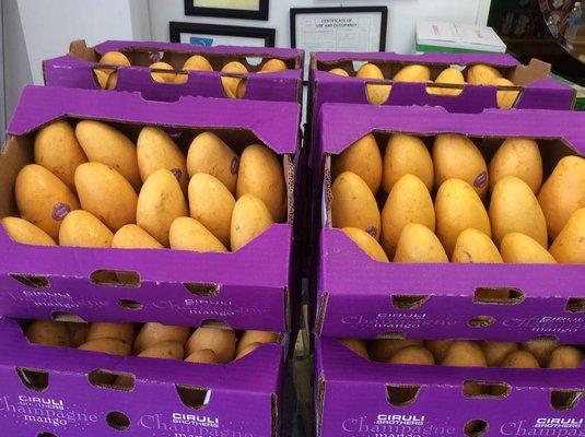 Tong Dee Asian Market