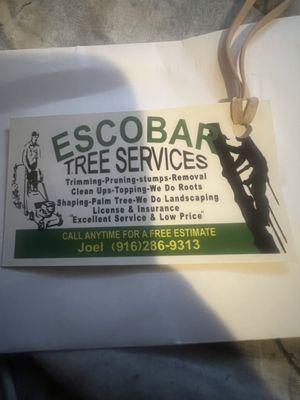 Escobar Tree Services