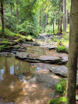 Tolliver Falls Waterfall
