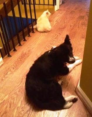 Wyomissing Valley Craftsmen