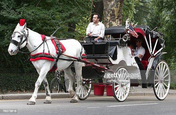 BigApple Central Park Horse Carriage Rides
