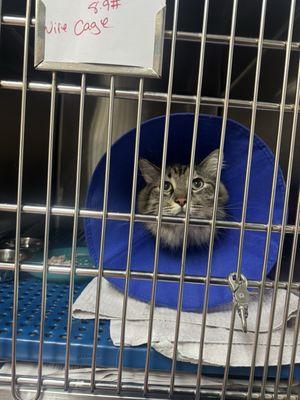 Captain in their hospital :)