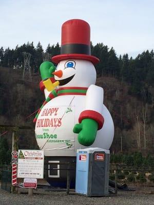 Snowshoe Evergreen Choose & Cut