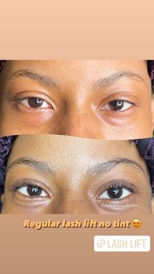 Belle Brow and Lashes